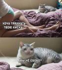 Прикрепленное изображение: IMG-20190823-WA0007.jpg