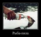 Прикрепленное изображение: 08.jpg
