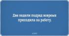 Прикрепленное изображение: 9309215-1-650-a542d8629a-1484730365.jpg