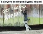 Прикрепленное изображение: 1597129549.jpg