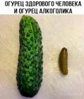 Прикрепленное изображение: 1598659057.jpg