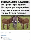 Прикрепленное изображение: 1598648134.png