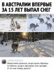 Прикрепленное изображение: C513E6AB-D265-4771-9F56-711DF50E3C37.jpeg