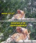 Прикрепленное изображение: 6A051490-DFFC-4710-96F7-D08AD12A2E19.jpeg