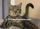 Прикрепленное изображение: H64zSceAzN0.jpg