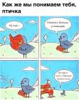 Прикрепленное изображение: b9CrmU5FLpM.jpg