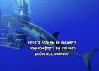 Прикрепленное изображение: 1629921335.jpg