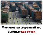 Прикрепленное изображение: Сгоревший лес.jpg