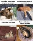 Прикрепленное изображение: Век живи - век лежи.jpg
