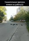 Прикрепленное изображение: Причина неявки на работу.jpg