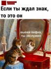 Прикрепленное изображение: Ждал знак.jpg