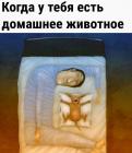 Прикрепленное изображение: Домашнее животное в постели.jpg