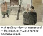 Прикрепленное изображение: Кот боится пылесоса.jpg