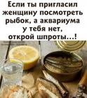 Прикрепленное изображение: xX83PKr_E7k.jpg