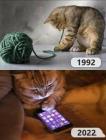Прикрепленное изображение: 1691865803.jpg