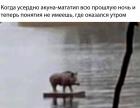 Прикрепленное изображение: 72F3CD3D-78B4-49A7-AA7A-C62EAC272E5B.jpeg