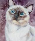 Прикрепленное изображение: iHWWO5ZxjxrTi2JX5Q8IHP0rpB80vKTviGLl9K-UpjuSPNXJsc4Yd43M8XW56T9.jpg