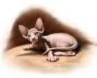 Прикрепленное изображение: NuqBZBLdQxQEcC1vETPigt-DPmaoFSkIVThg-Ow6jFAeOiVJqn8qu6A67od56EaqnaGiSeAh.jpg