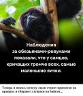 Прикрепленное изображение: 1755896304.jpg