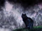 Прикрепленное изображение: Brian Mashburn.jpg
