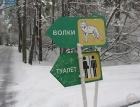 Прикрепленное изображение: Волки и туалет.jpg