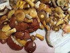 Прикрепленное изображение: IMG_20250828_175949_980.jpg