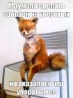 Прикрепленное изображение: 55a44563ce69986e779fac7161af793e.jpg
