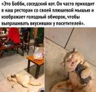 Прикрепленное изображение: Изображает обморок.jpg