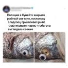Прикрепленное изображение: 1786314840.jpg