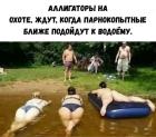 Прикрепленное изображение: Аллигаторы на охоте.jpg