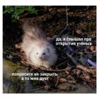 Прикрепленное изображение: Закрытие.jpg