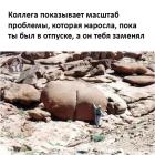 Прикрепленное изображение: Жопа.jpg