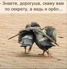 Прикрепленное изображение: Орел Gptua84AGBY.jpg