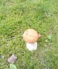 Прикрепленное изображение: IMG_20260829_134408_287~2.jpg