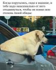 Прикрепленное изображение: Максимально отодвинулась.jpg