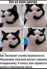 Прикрепленное изображение: Кот из колл-центра.jpg