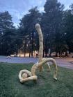 Прикрепленное изображение: Сара Лукас 2016.jpg