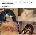 Прикрепленное изображение: Отдохнули за выходные.jpg