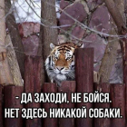 Прикрепленное изображение: Заходи не бойся.png
