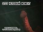 Прикрепленное изображение: nYQvh0vaRLA.jpg