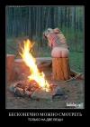 Прикрепленное изображение: f4lsmzm6f0de.jpg
