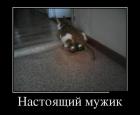 Прикрепленное изображение: 1б1.jpg