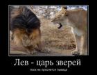 Прикрепленное изображение: 303160_826825.jpg