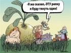 Прикрепленное изображение: 50.jpg