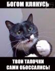 Прикрепленное изображение: 40909958319036021188282071963969158134.jpg