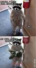 Прикрепленное изображение: котейка.jpg