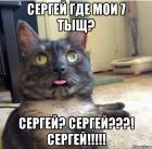 Прикрепленное изображение: kot-zavis_133362673_orig_.jpg