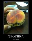 Прикрепленное изображение: image.jpeg