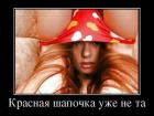 Прикрепленное изображение: image.jpeg
