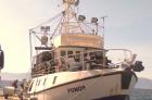 Прикрепленное изображение: Ships__11.jpg